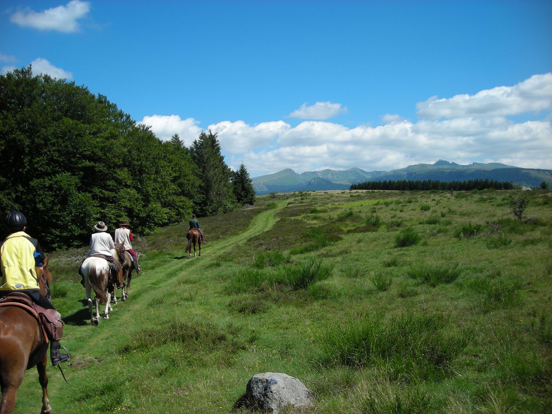 Stages et randos à cheval en Auvergne